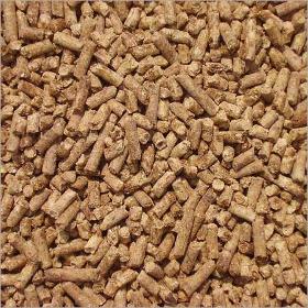 Cattle feed