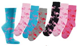 2164 - Cotton Ladies Socks