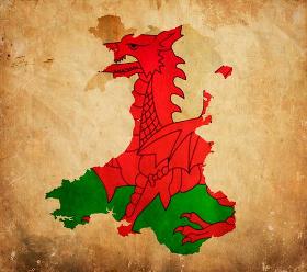 Welsh Translation Services