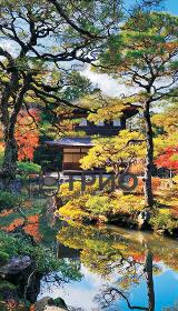 Wall-hung heater "Japanese garden (Garden Kyoto)"
