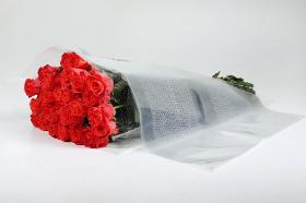 Transparent cone sleeves with perforation for flowers
