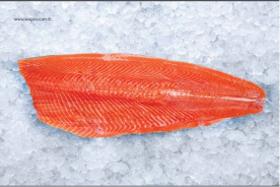 Turkish Salmon 