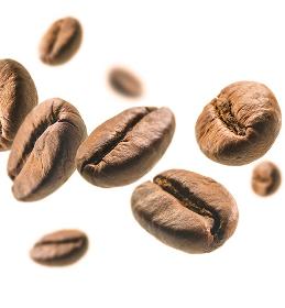 CforB Cosmetics Coffee Bean Extract