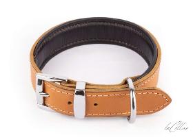Leather dog collar aneline 