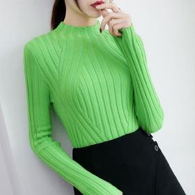 Women Turtle Neck Knitted Long Sleeve Autumn Sweater