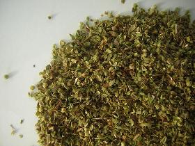 OREGANO