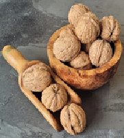 walnuts producer