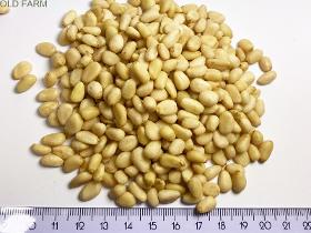 PINI NUTS 25 kg SIZED PECANS, SBERRY PINE NUTS