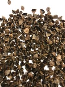 Buckwheat husk/hulls/shell