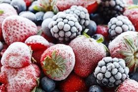 Frozen Fruit and Vegetable Exports Natural 