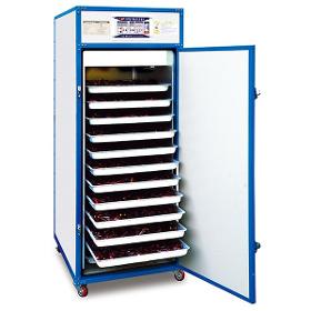 Tray Dryer for fruits and vegetables