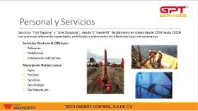 GPT services