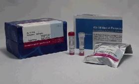 Ab-10 Rapid Peroxidase Labeling Kit