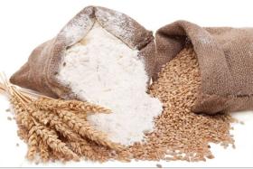 Wheat flour high grade quality