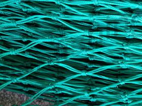 Fishing Nets