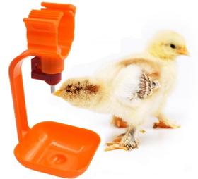 ball type valve poutry/Chick/chicken hanging drinking cup