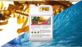 Seaweed-based NPK fertilizer for vine