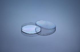 90x15mm Petri Dish