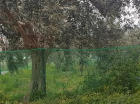 1 "Fencing net (TREE GUARD NET)