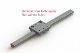 Support rails track roller