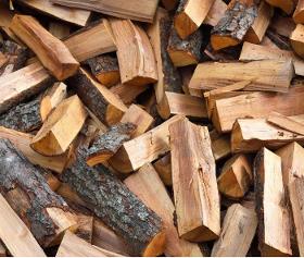 Klin Dried Firewood
