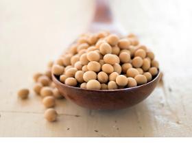 Soybeans (GMO, non-GMO, meal)