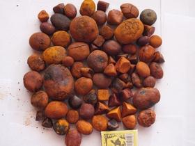 High quality Natural Cow /Ox Gallstones Cheap/Calculus Bovis