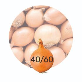 Onions 40/60