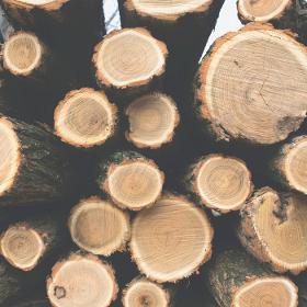 Translation for woodusing industry