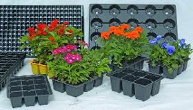 Nursery- Seedling Trays and Pots Dispo Plastik