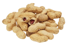 Peanuts in the shell, raw
