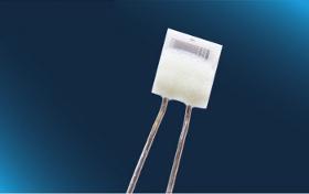 RTD temperature sensor - Pt1000 with Pt/Ni wire 600°C
