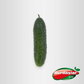 Spiky cucumber 