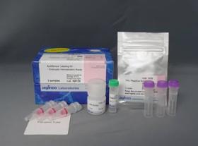AcidSensor Labeling Kit - Endocytic Internalization Assay