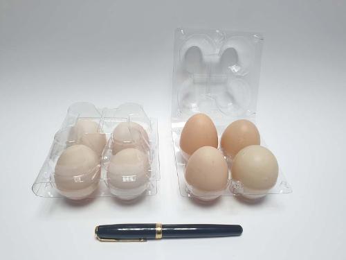 4 eggs tray