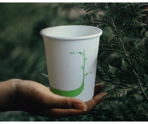 BIO Compostable cups for hot drinks 200 ml - 50 pcs