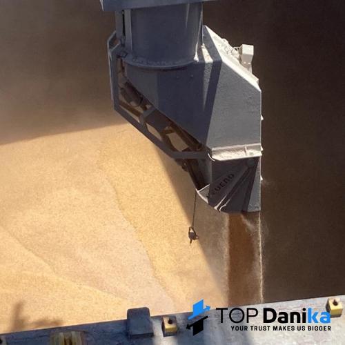 Cereals & Grains: Milling wheat crop production 2022 