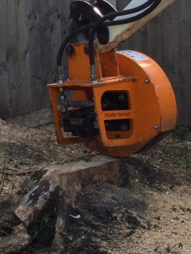 Tree stump grinder 