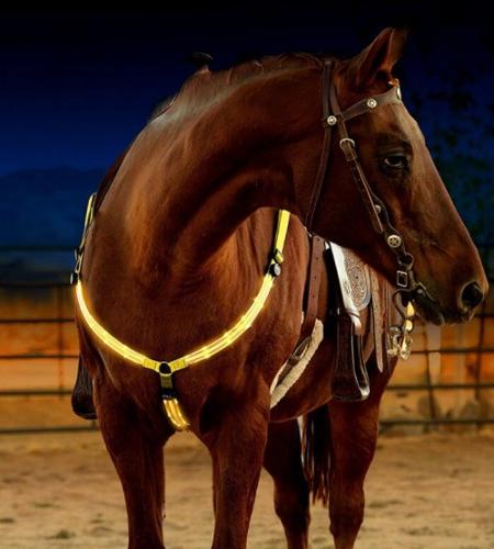 USB rechargeable Flashing Horse Harness for check and neck