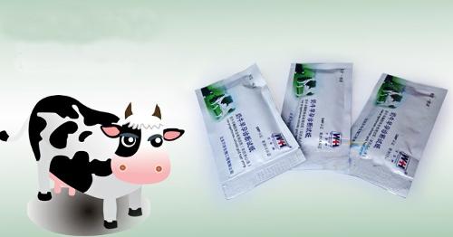 cow test pregnancy test paper by urine,milk and blood