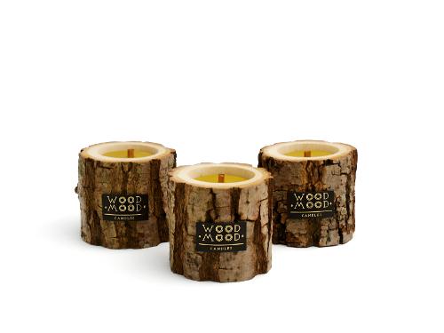 Forest Lights Compact Candle Set with Refills