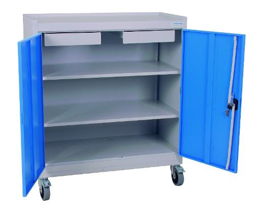 Cabinet with hinged doors type 110
