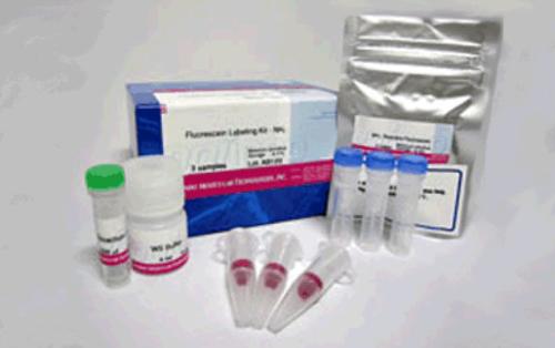 Fluorescein Labeling Kit-NH2
