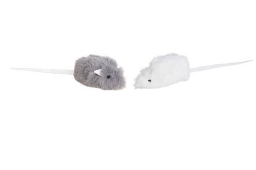 Cat and Dog Toys