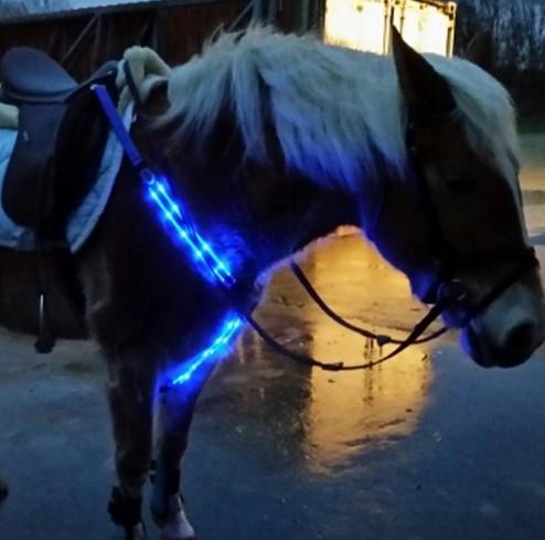 led horse leash USB rechargeable 