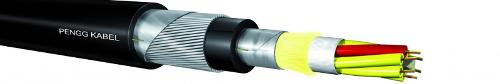 Railway Cable Fiber Optic Cable A-dq(zn)(l)2yrg2y