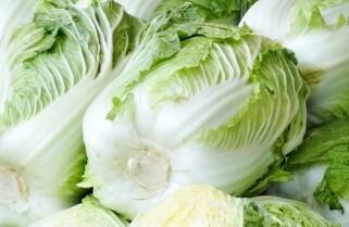Chinese cabbage 10 KG