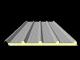 Roof panels and insulated roof sheets (PANEL SELL GMBH)