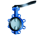 butterfly valve with worm gear