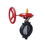 Indicated Butterfly Valve